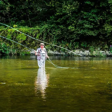 Hockslee *